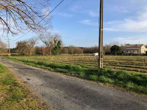 Vente terrain 984 m² Saint-Savin (33920)