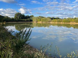 Achat Terrain 26 500m² TALMONT ST HILAIRE 85440