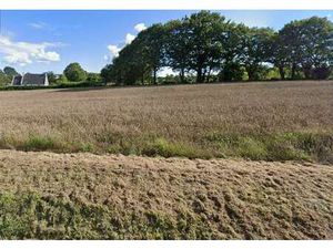 Vente Terrain à Névez (29920) : à vendre / Névez