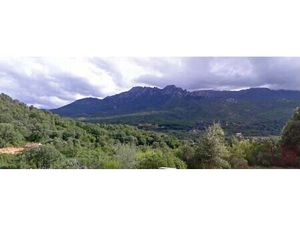 Terrain 8700 m² sur la commune de Tavaco