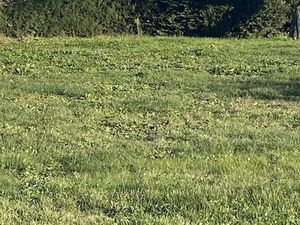 Vente terrain neuf 600m2 Jouques - 110000 € - Surface Privée