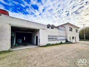 Vente Local d'activités 1 320 m²