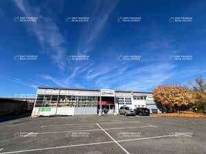 Vente Local d'activités MEYTHET 74960