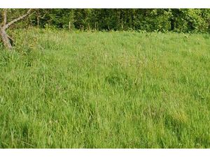 Vente terrain 1164 m² Fécamp (76400)