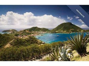 Hôtel particulier à vendre