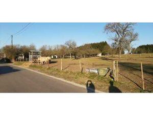 Belle parcelle de terrain à Durbuy (Heyd) LOT 2