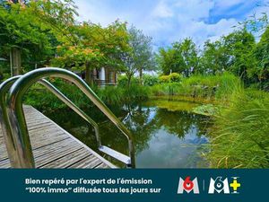 Maison dâartiste avec piscine naturelle  sauna et dépendance â 12 ares â Algolsheim