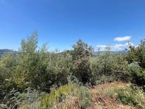 Vente terrain 1158 m² à Auribeau-sur-Siagne (06810)  20 000 €