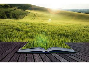 Vente terrain 707 m² à Chef-Boutonne (79110)  11 312 €