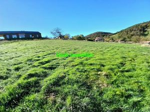 Vente terrain 1486 m² à Saint-Laurent-Chabreuges (43100)  32 500 €