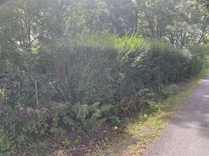 Vente terrain 1000 m² à Chermignac (17460)  65 500 €