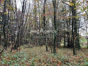 Vente terrain 2850 m² à Saint-leon-sur-l'isle (24110)  54 000 €