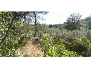 Terrain Constructible 1001m² - Libre Constructeur