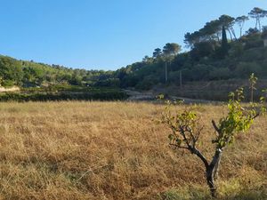 Vente terrain 1262 m² à Cotignac (83570)  185 000 €