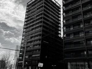 Places Parking en garage souterrain Black Swans