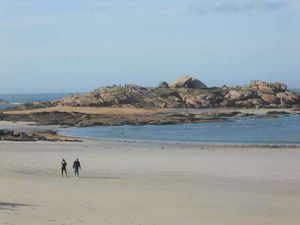 Location Appartement 2 pièces à Trégastel (22730) : à louer 2 pièces / 47m² Trégastel