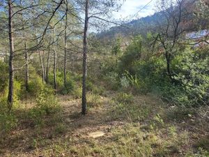 Vente terrain 750 m² à Brignoles (83170)  137 000 €