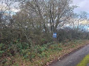 Parcelles boisées en zone forestière à Winenne (Beauraing)