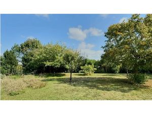 Vente terrain 950 m² à Saint-laurent-de-la-pree (17450)  207 000 €