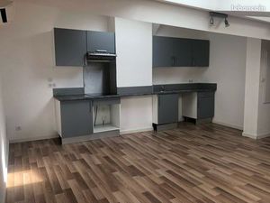 Loft grand appartement