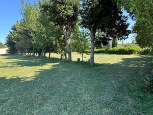 Location terrain entrepôt  chevaux  stockage