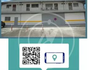 Location locaux professionnels 55 m² à Les abymes (97139)  828 €