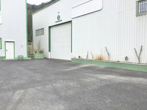 Location locaux professionnels 667 m² à Gemenos (13420)  5 459 €