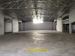 Location locaux professionnels 770 m² à Pointe a pitre (97110)  9 579 €