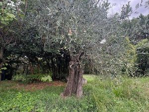 Terrain 1050 m2 Alès  Le Bas-Brésis