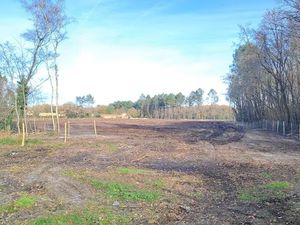 Vente terrain 620 m² à Cestas (33610)  248 000 €