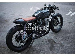 efficity Dominique Lasneau