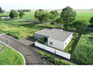 Du neuf  Rien que du Neuf!!