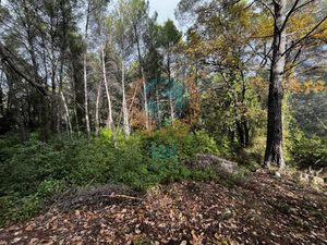 Terain non constructible avec cabanon