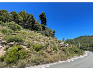 Achat Terrain 7 358m² PUGET VILLE 83390