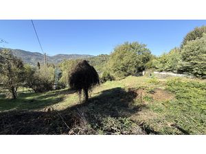 Achat Terrain 1 054m² CONTES 06390