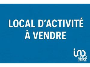 Vente Local d'activités 400 m²