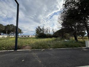 Santonissimo ! Terrain constructible 512m² hors lotissement