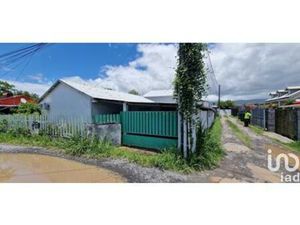 Vente Maison traditionnelle 5 pièces  Réunion