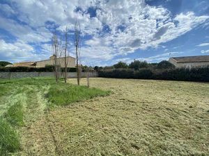 Marseillan - belle parcelle arborée de 650m²