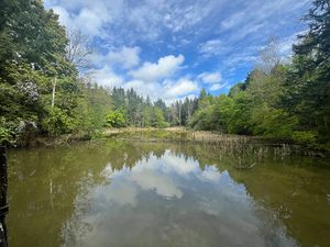 Vente terrain 40 m² Coullons (45720)