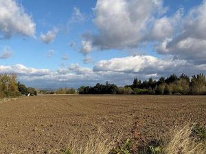 Ref - Terre - Bram - Terrain 7970m²