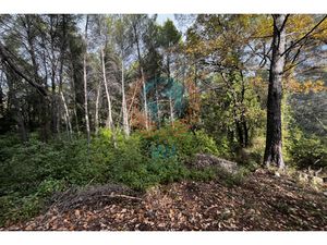 Annonce terrain à vendre