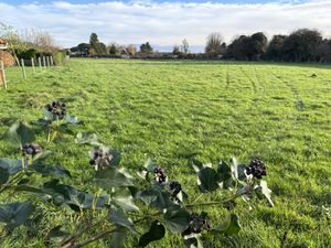 Achat Terrain 4 443m² GUEUTTEVILLE LES GRES 76460