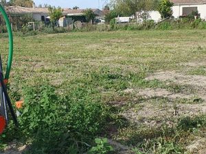 Vente terrain 595 m² Cubnezais (33620)