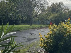 Villa de plain-pied avec jardin