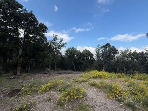 Vente terrain 76380m2 Montbolo 66110 - 22000 € - Surface Privée