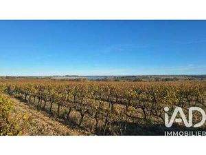 Vente Terrain à Pollestres (66450) : à vendre / 15874m² Pollestres