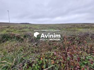 Terrain industrielle a Louer