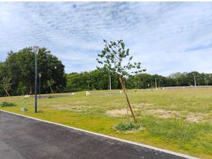 Vente terrain 400 m² Tosse (40230)