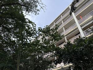 EDOUARD : notre type 2 au Fragonard